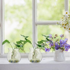 VANZACK Hyacinth Vase, 10pcs Small Clear Vase Hyacinth Bulb Vase Decorative Bud Flower Vase for Home Decor Living Room Wedding Table Decorations Centerpieces