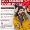 Berberine Drops, High Absorption 6-in-1 Liquid Berberine Supplement with Ceylon