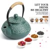 Sotya Cast Iron Teapot, 30oz/900ml Japanese Tetsubin Tea Pot with