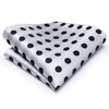 Hi-Tie Men's Tie Lapel Pin Set White Black Dots Pocket