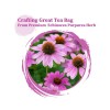FullChea Echinacea Purpurea Herb 50 Teabags Caffeinefree.A