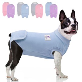 cyeollo 2pack Surgery Recovery Suit for Dogs Cats Soft Breathable Female Male Pet Bodysuit After Surgery for Spay, Neuter, Surgical Recovery Onesie Shirt for Small Dogs, Blue & Grey, S