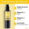 Sqin Luxiena Serum Baba de Caracol Coreano, Mucina de Caracol