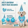 JT PET Dog Birthday Boy Party Pack with Bandana, Star