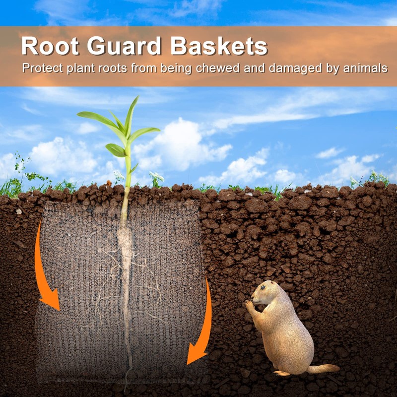 YBB 6PCS Root Guard Baskets, Gopher Wire Speed Baskets, Stainless