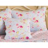 Riva Paoletti Honeypotlane White Pillow Shams, Singles, Cotton