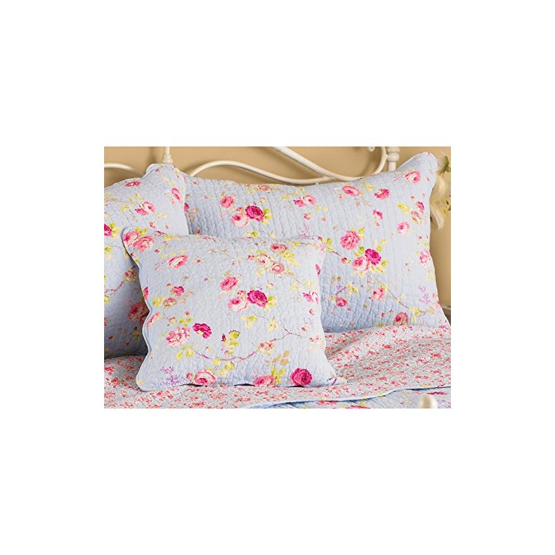 Riva Paoletti Honeypotlane White Pillow Shams, Singles, Cotton