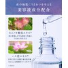 YOLU Yol | Treatment Refill [Calm Night Repair] 14.1 oz