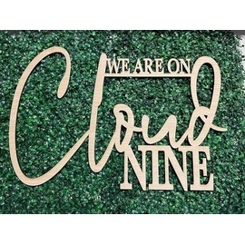 We Are On Cloud Nine Sign for Backdrop,Baby Shower Party Wall Sign for Gender Reveal Girl or Boy Baby Shower Party Decorations