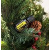 doTERRA Bergamot Essential Oil - 15 mL