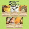 Organic Winter Squash Seeds Home Garden Variety Pack - Non-GMO
