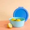 Koziol NORA BOX 1.3 L Food Storage Container with Lid,