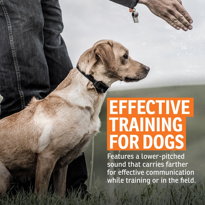 SportDOG Roy Gonia Special Whistle - Long-Range Projection Hunting Dog