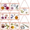Kenning 8 Pcs Glass Frame for Pressed Flowers 3.5 x
