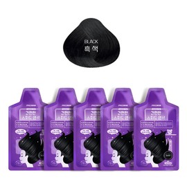 Haraz Pyeonan 5-Minute Speed ​​Hair Dye 20 Packs (Select 1 of 4 Colors) - Black / 하라즈 펴난 5분 스피드 염색약 20팩(색상 4종 택1) - 블랙