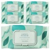 The Saem Garden Pleasure Cica Cleansing Tissue, 100 sheets, 5 pcs / 더샘 가든 플레져 시카 클렌징 티슈, 100매입, 5개