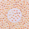 200 Pieces Miniature Foods for Dollhouse Accessories, Miniature Resin Food