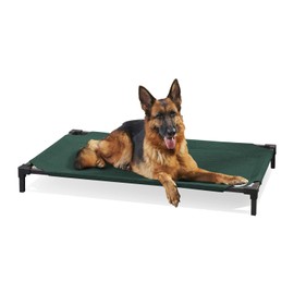Coolaroo Pro Elevated Dog Bed - Low-Profile Access, Moisture-Resistant Cover, Breathable Fabric & Tool-Free Setup, Brunswick Green, Standard