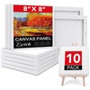 ESRICH Stretched Canvas for Painting, 10 Pack 8x8 Canvas for