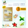 TeadreamTea Ginger Tea Bags - 100 Bleach-Free Tea Bags |