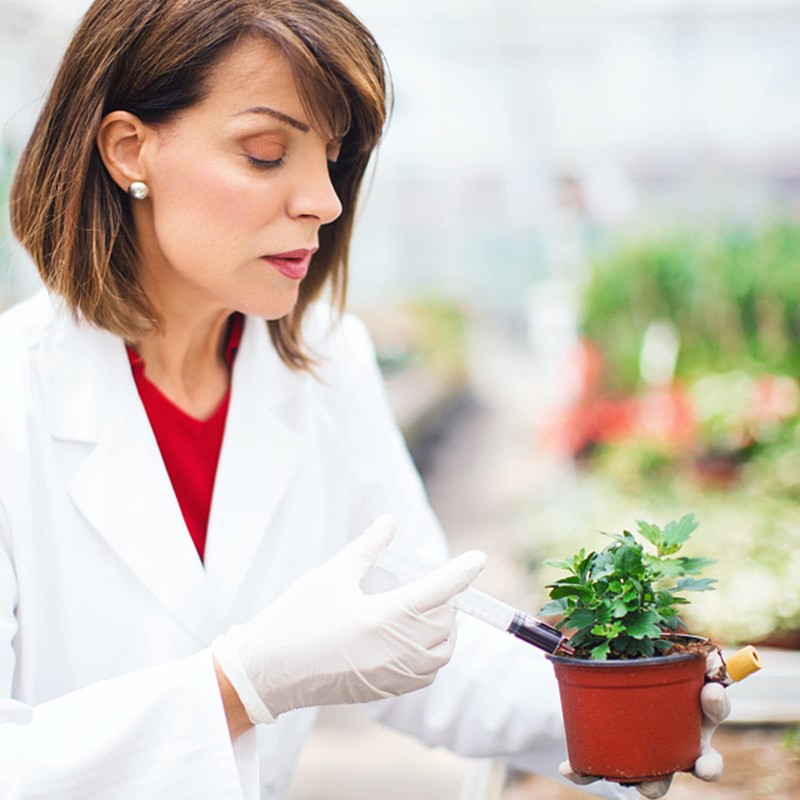 Chouiery 30本セット シリンジ 5ml 針なし 注射器 滅菌 個包装 インジェクター カテーテル