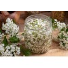 Health Embassy Hawthorn Flower (Crataegus L), 100 g