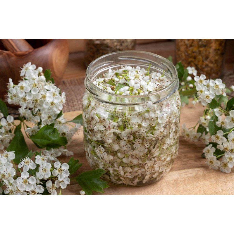 Health Embassy Hawthorn Flower (Crataegus L), 100 g