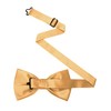 RBOCOTT Champagne Bow Tie Bowtie and Pocket Square Set for