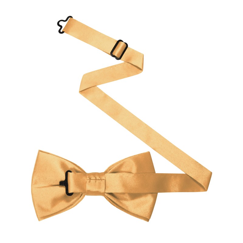 RBOCOTT Champagne Bow Tie Bowtie and Pocket Square Set for