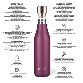 Les Artistes-Paris – a-1970 Bottle Up time' Up Insulated Bottle, Stainless Steel, Matt Purple Metal, 7.05 cm