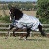 Bucas Sun Shower Turnout Rug 5-9" Silver