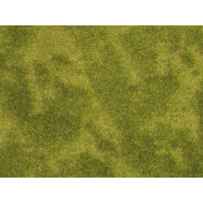 Noch 07471 Natur+ Riedwiese, Colourful