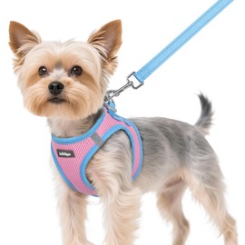 rabbitgoo Dog Harness Small Sized and Leash Set, Step-in Breathable Pet Harness, Soft Walking Reflective Puppy Vest for Small Dogs, Pink & Light Blue, XS