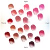 Laka Fruity Glam Tint #105 Cold Lip Color, Genuine Japanese