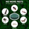 Natural Rodent Repellent Balls - Peppermint Lemon Oil Formula