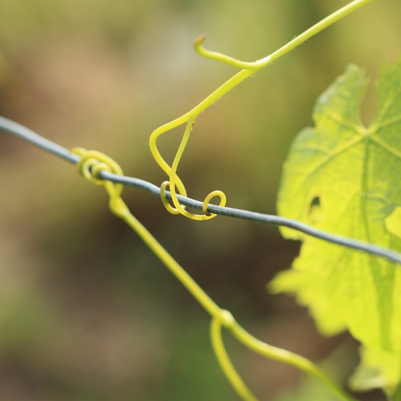 Relaxdays Binding Wire in Set of 3, Rustproof for Garden,