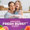 ARM & HAMMER Plus OxiClean Odor Blasters Fresh Burst, 77