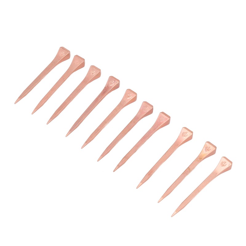 250Pcs Horseshoe Nails Copper Plating Shoeing Nails with Plastic Box