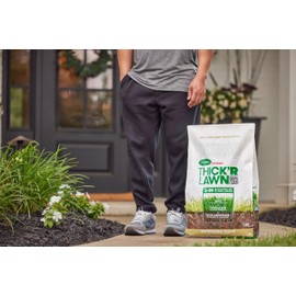 Scotts Turf Builder Thick'R Lawn Southern Gold Blend for Tall Fescue Lawns, Grass Seed, Fertilizer, and Soil Improver, 40 lb.