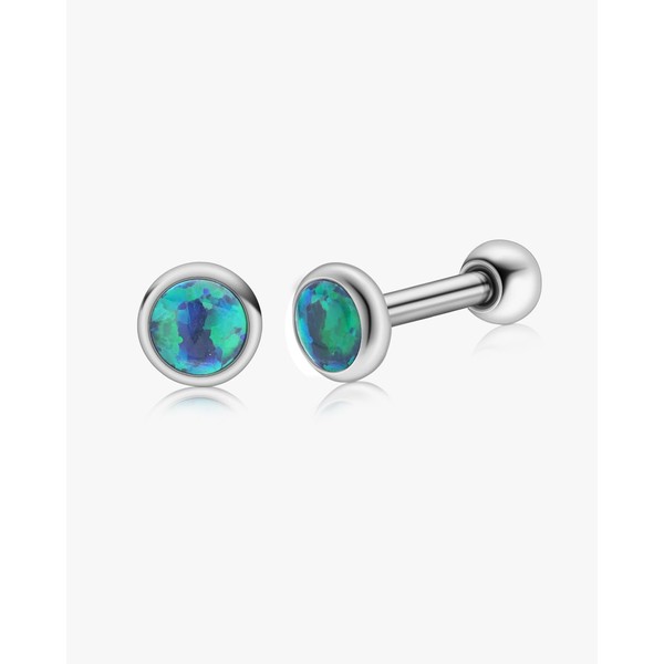 Fashtour Hypoallergenic G23 Implant Grade Titanium Stud Earrings, Screw Back