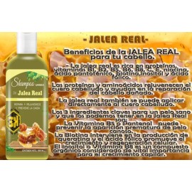 Shampoo De Jalea Real Regenerador Capilar 1l Vivonatural &3h