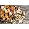Seweryn King Boletus Porcini Dried Sliced Mushrooms 1lb Handpicked from