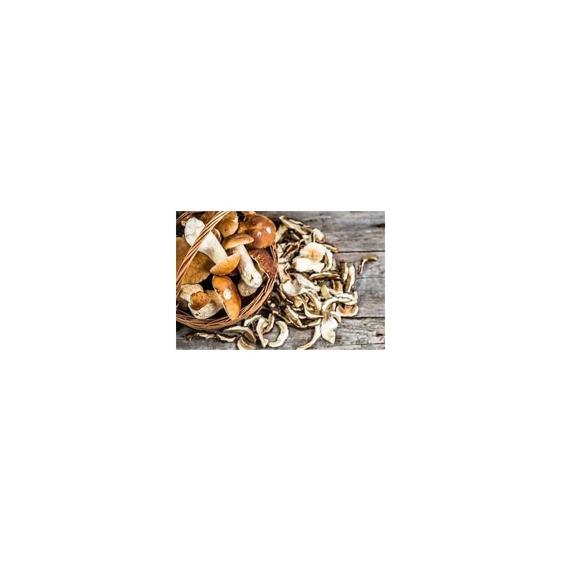 Seweryn King Boletus Porcini Dried Sliced Mushrooms 1lb Handpicked from