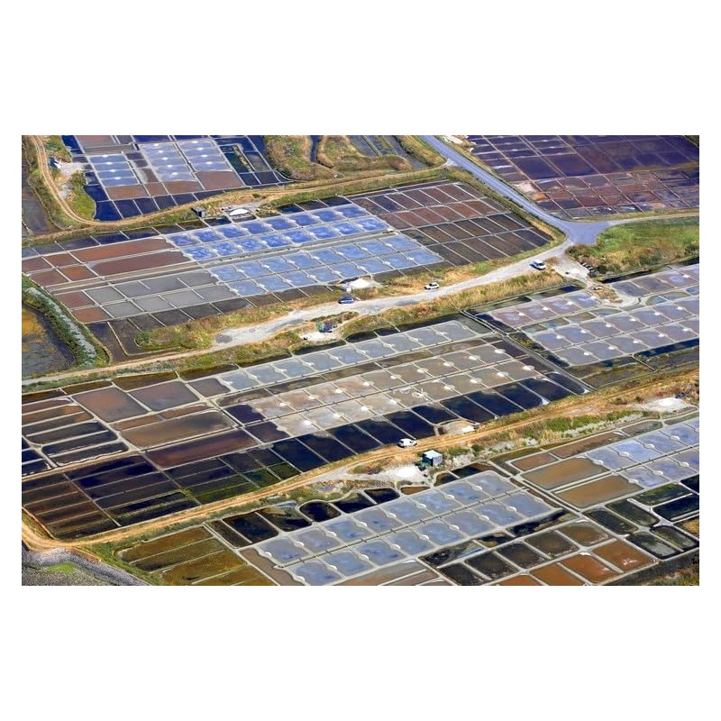 Sel De Guerande Celtic Sea Salt Fine Shaker 250g