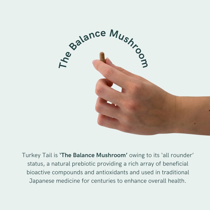 Dr Sosnowski's BioActive Turkey Tail Mushroom Capsules | Potent 1000mg