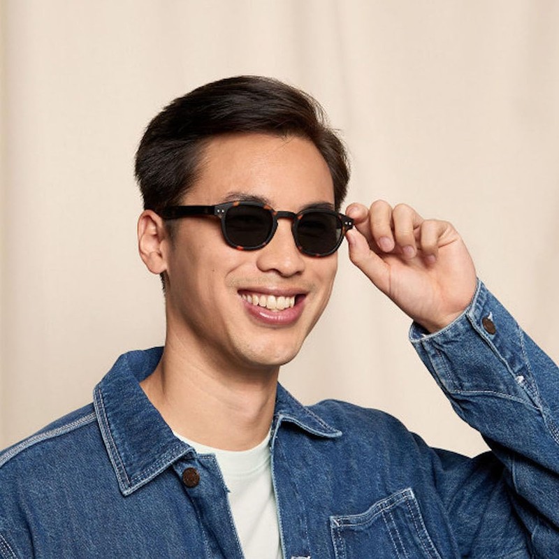 IZIPIZI Sunglasses with Case #C Brown