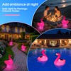 Pool Chlorine Floater, Solar Flamingo Chlorine Tablet Floater w/Adjustable Release,