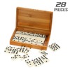 Do-cooler Dominoes Double Dominoes Set Recreation Toys for Kids Adults