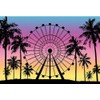 9x6ft Ferris Wheel Backdrop Sunset Seaside Palm Tree Silhouette Photography