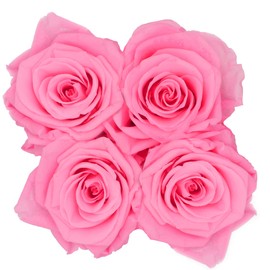 PARIS EN ROSE Rose Box with 4 Pink Infinity Roses Size XL Preserved Eternal Rose Round Black Box with Bow 3 Years Shelf Life Greeting Card